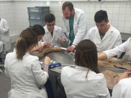 Ambulanztrainer 2015
